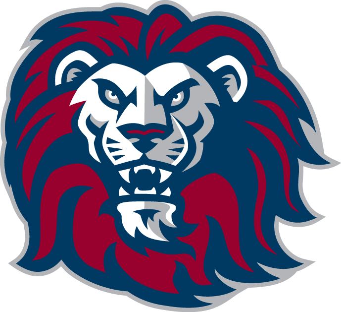 Loyola Marymount Lions 2001-Pres Alternate Logo v6 DIY iron on transfer (heat transfer)